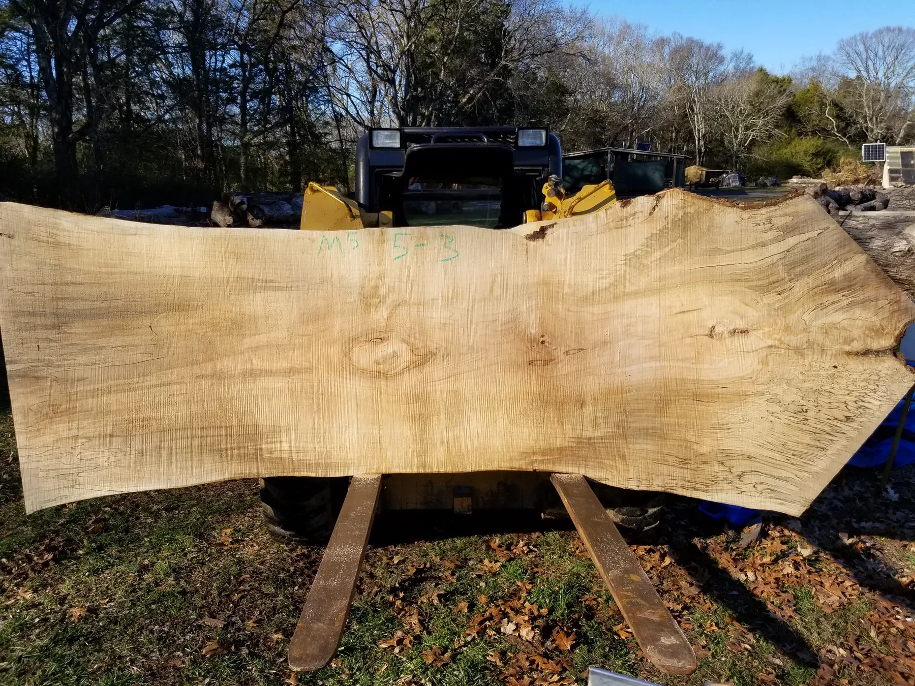 11 foot poplar slabs
