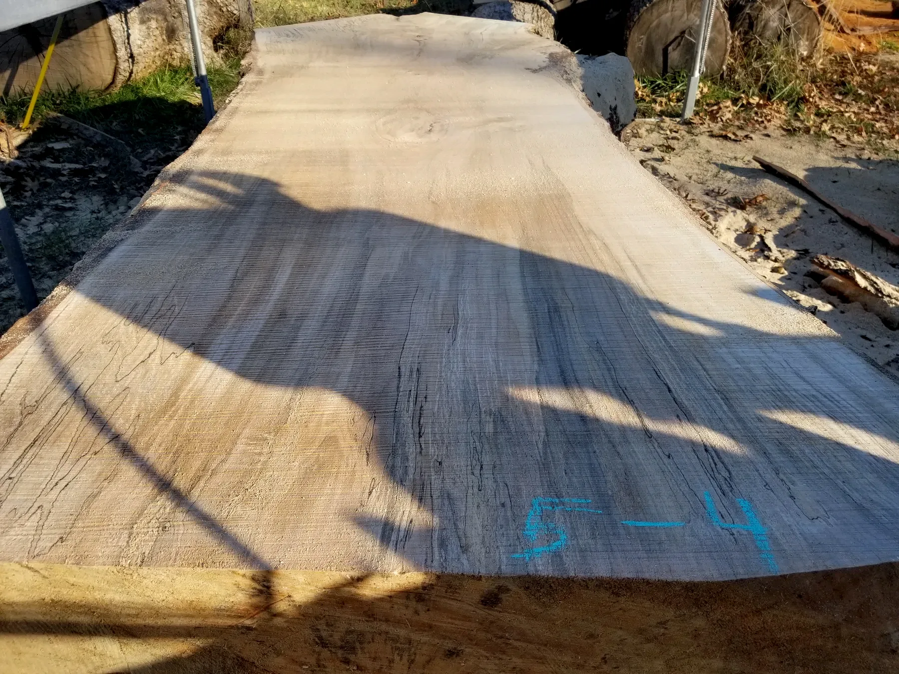 11 foot poplar slabs photo 2