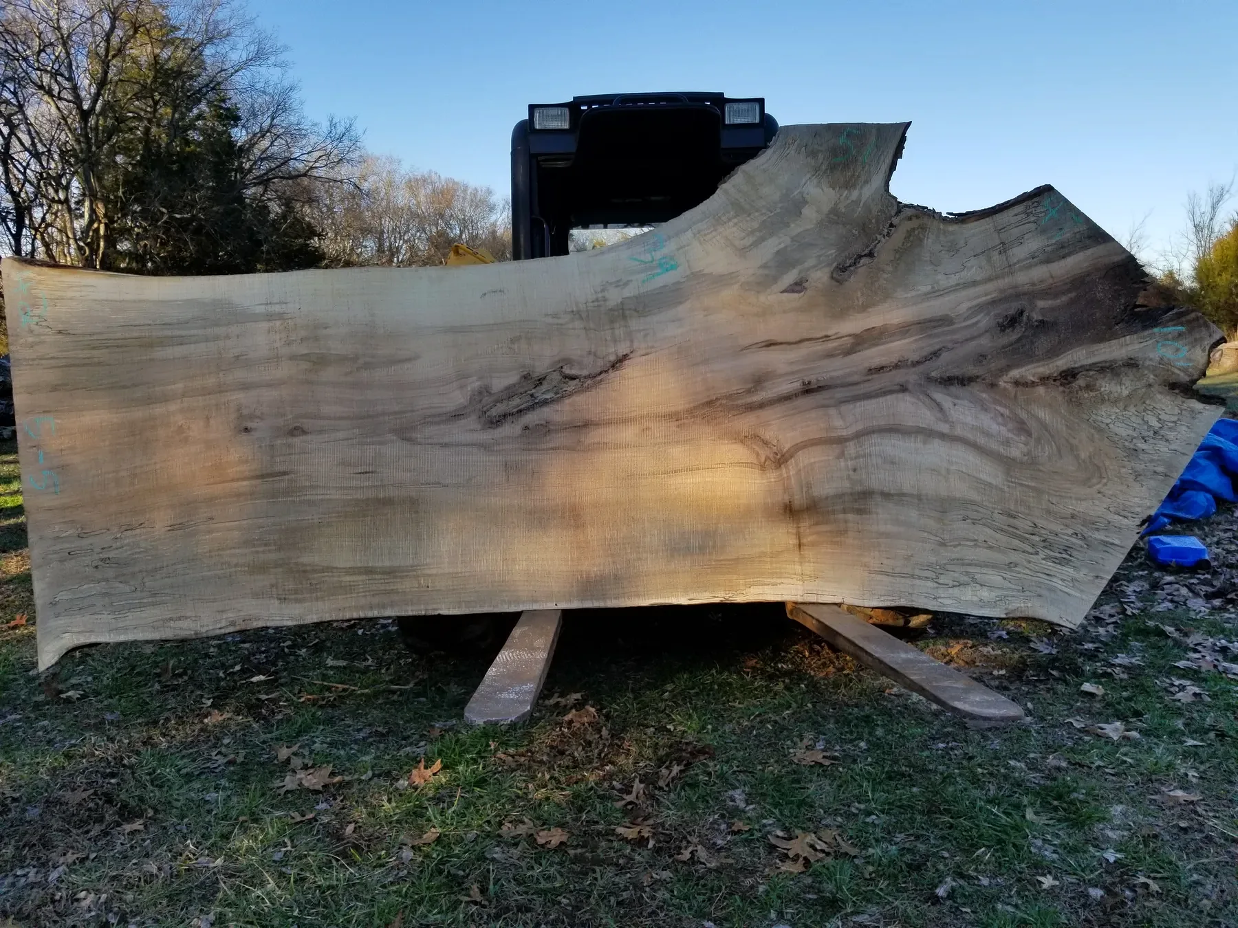 11 foot poplar slabs photo 5