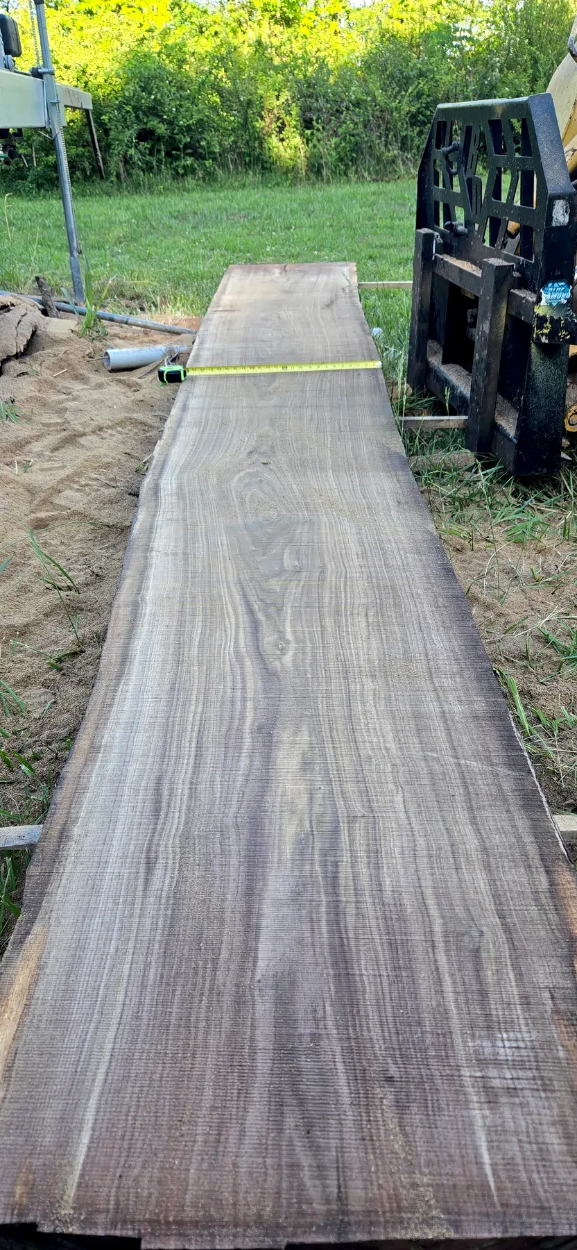 15 foot black walnut