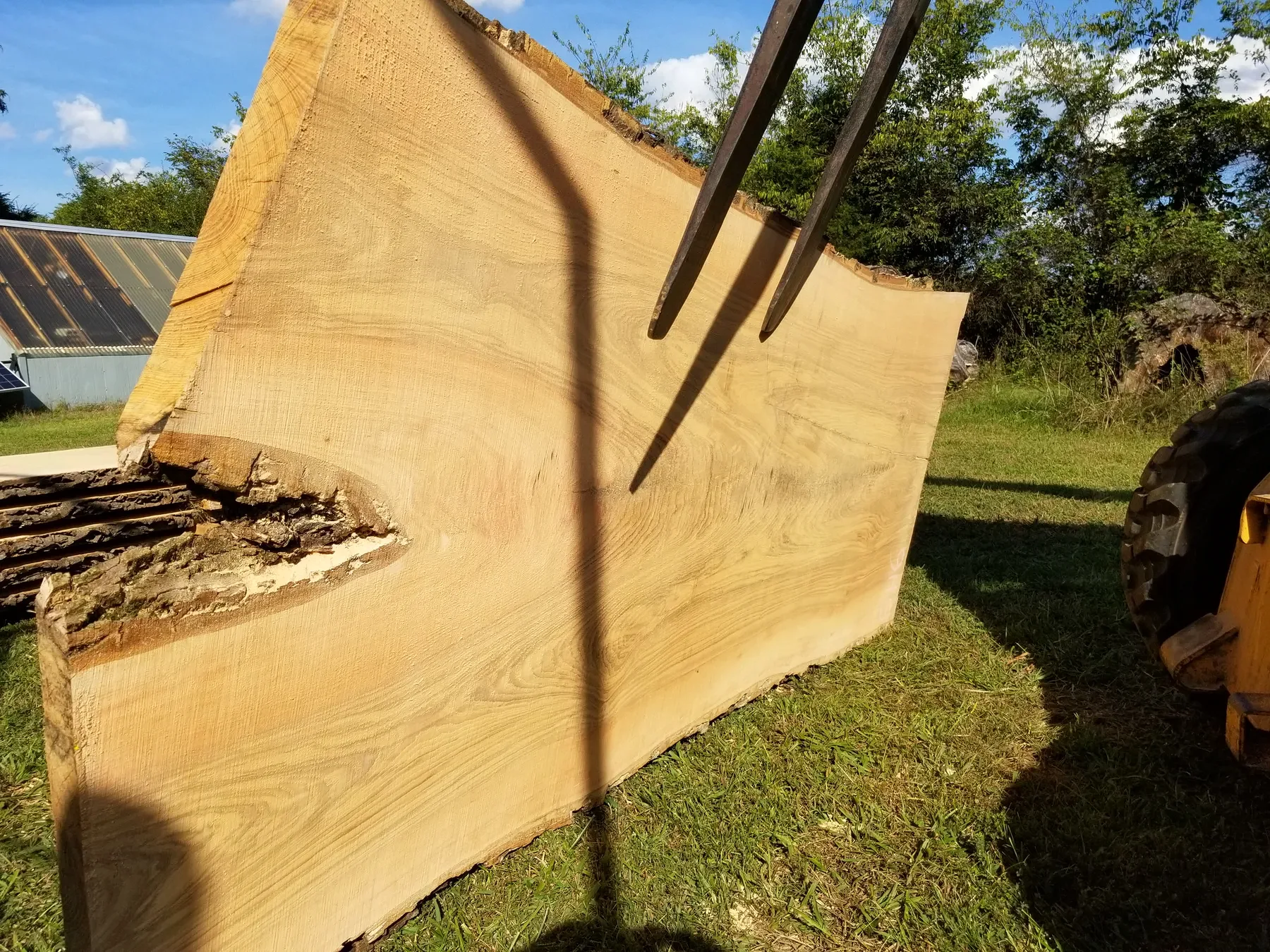 8 foot ash slabs