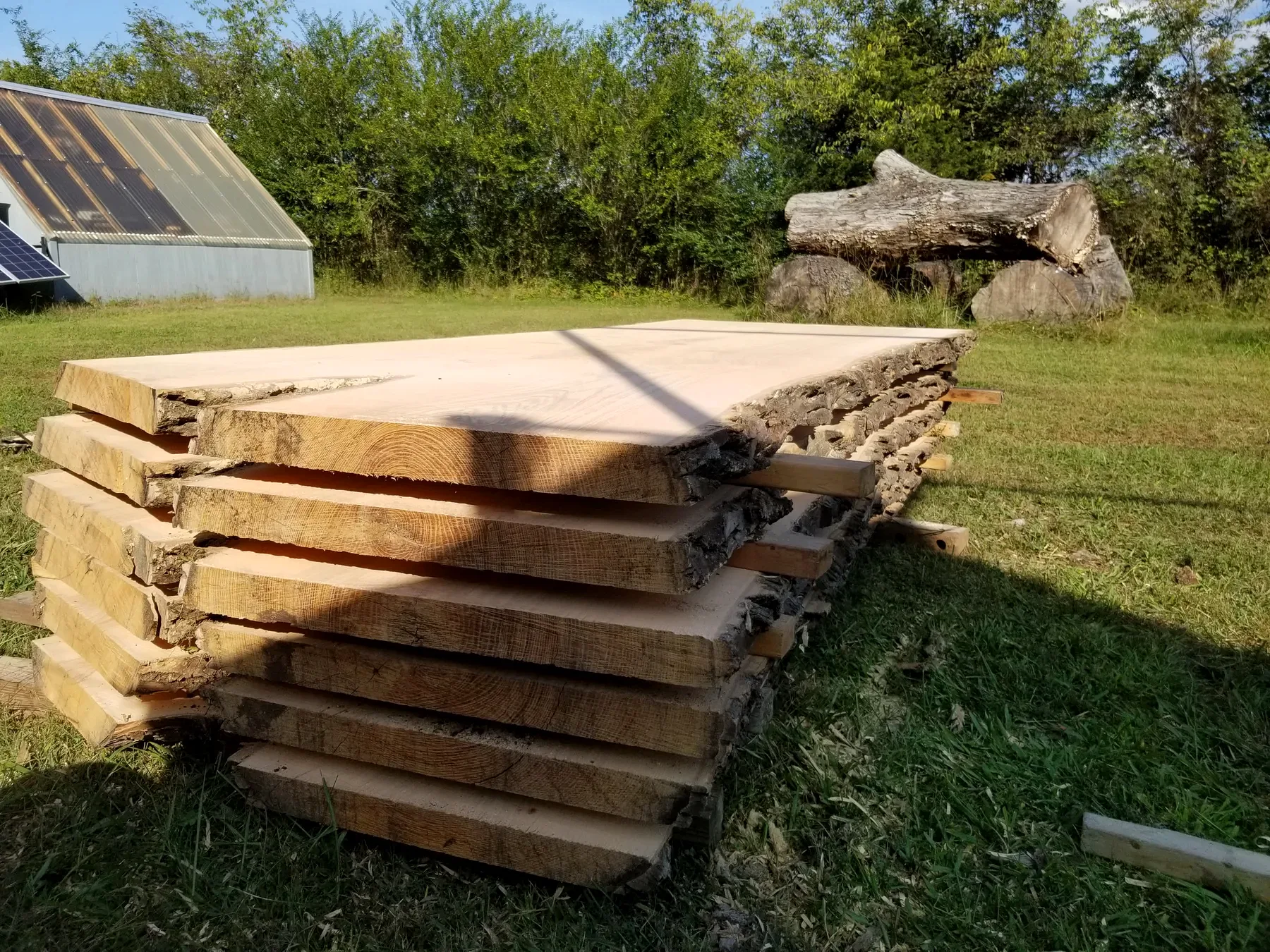 8 foot ash slabs photo 2