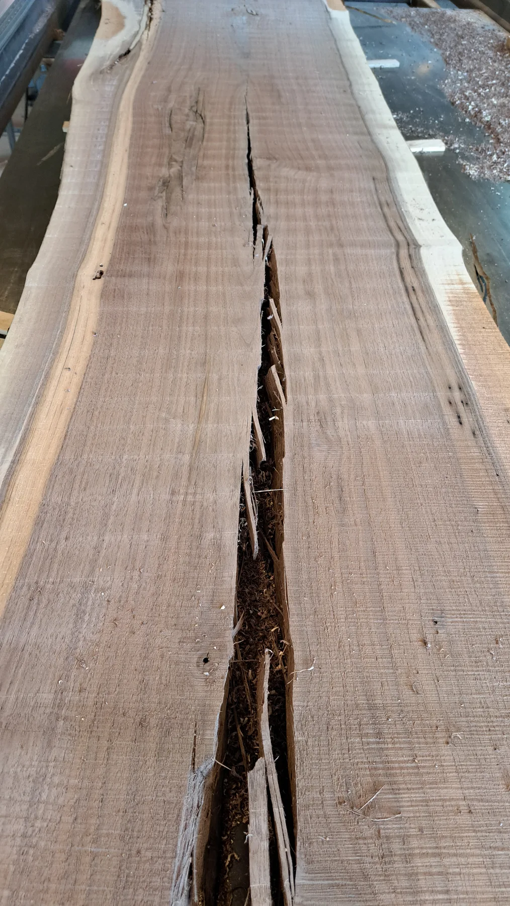 family walnut table from their tree behind the build photo 2